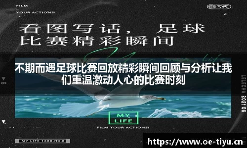 欧亿体育