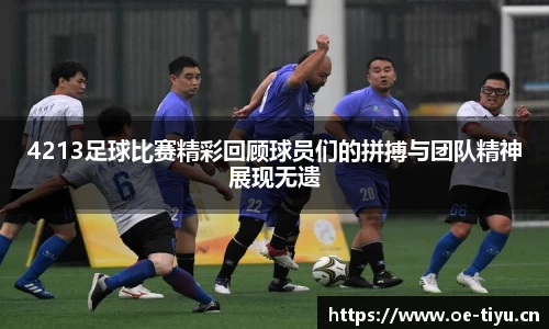 4213足球比赛精彩回顾球员们的拼搏与团队精神展现无遗